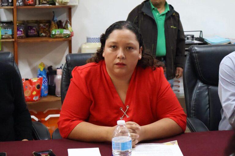 Imagen: Deja regidora puesto por falta de trabajo efectivo