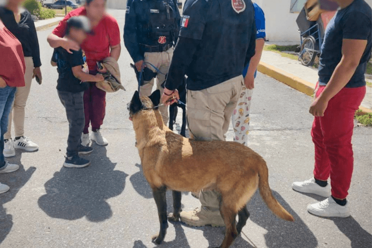 Imagen: Ares, el perro policía que encontró a un menor extraviado en Hidalgo