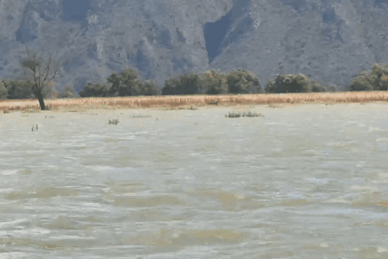Imagen: Camino de la laguna de Metztitlán, cerrado por el alto nivel del agua