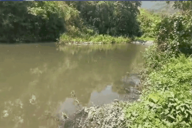 Imagen: Comunidades acusan a la Minera Autlán de la contaminación del río Claro