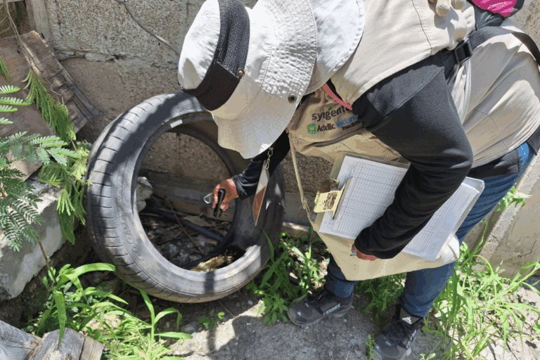 Imagen: Por virus del oriente del Nilo, Jurisdicción Sanitaria II mantiene monitoreo preventivo