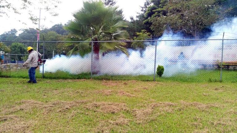 Imagen: Aumentan casos de dengue en Hidalgo: SSH refuerza medidas preventivas