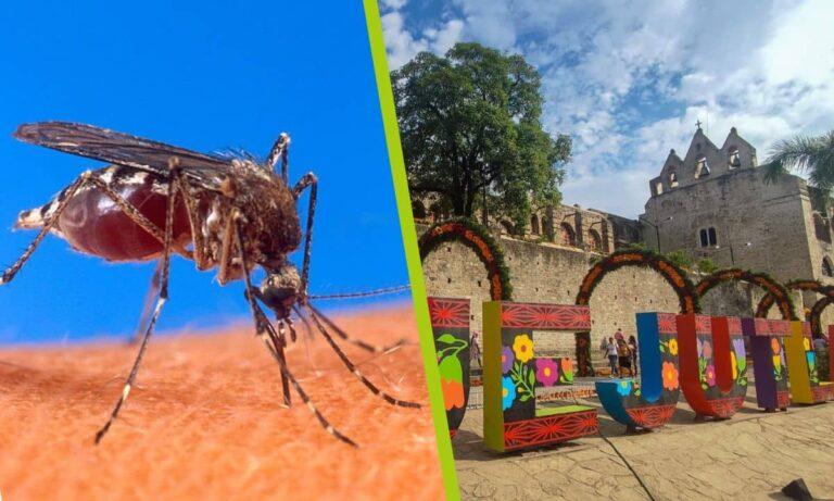 Imagen: El dengue puede afectar a una familia: el testimonio de una habitante de Huejutla