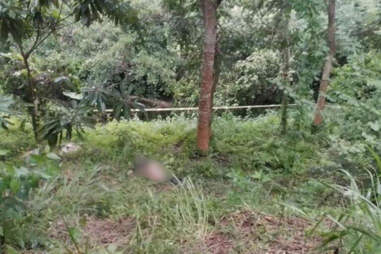 Imagen: Encuentran cadáver en descomposición en Huejutla