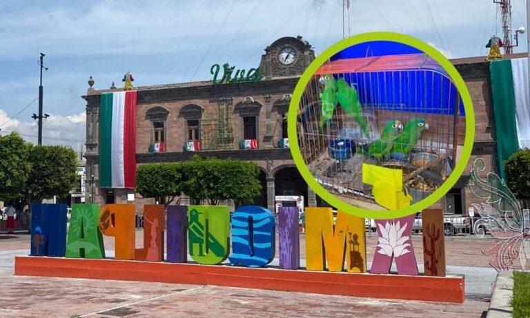Imagen: Decomisa la Profepa a pericos en tianguis de Ixmiquilpan; así fueron localizados