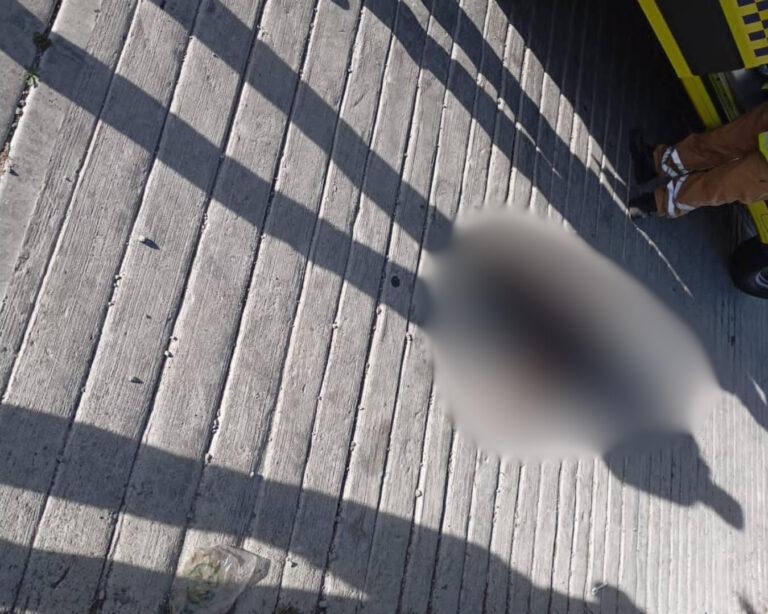 Imagen: Muere un hombre en situación de calle, en Mineral de la Reforma