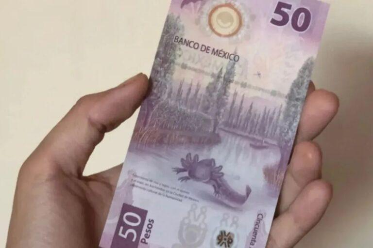 Imagen: Coleccionistas pagan hasta 100 mil pesos por billete de ajolote con error raro