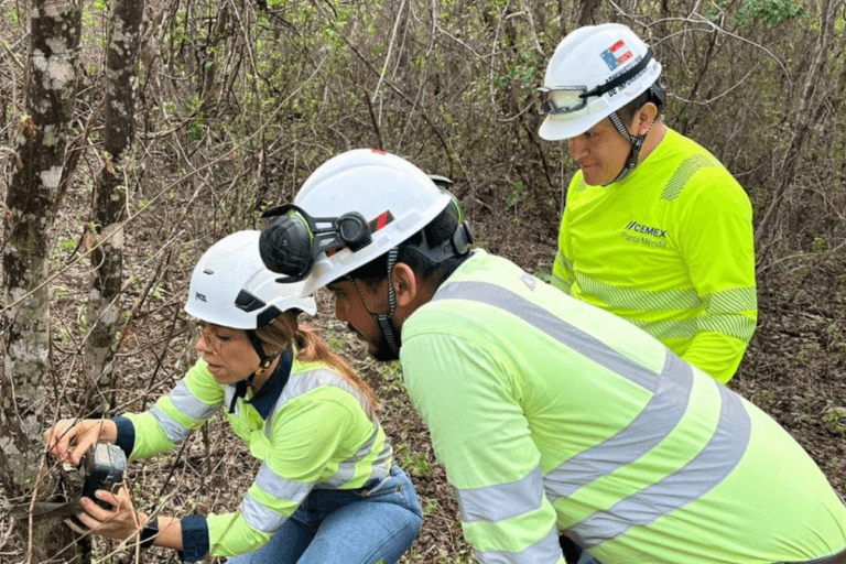 Imagen: Cemex: preservación de aves y biodiversidad a través del monitoreo en canteras