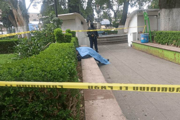 Imagen: Tulancingo: muere varón en situación de calle; quedó en una jardinera de La Floresta