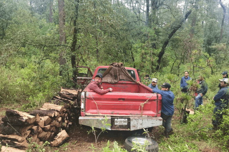 Imagen: En Santiago Tulantepec detuvieron a cuatro probables talamontes