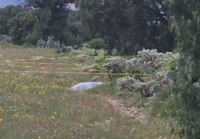 Imagen: Hallan cuerpo maniatado de una mujer en Mineral de la Reforma