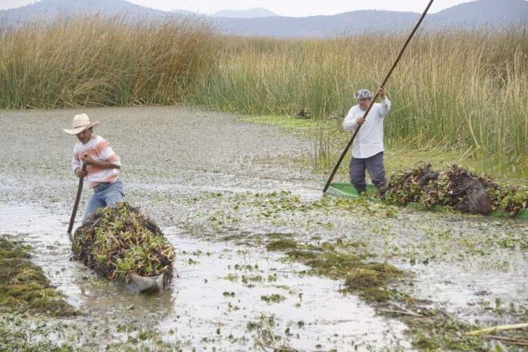 Imagen: Tecocomulco está listo para el encuentro por los humedales, este próximo fin de semana