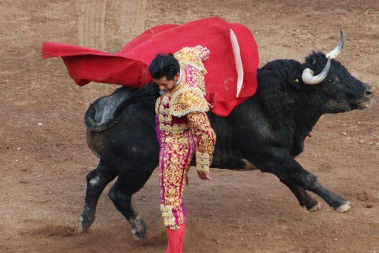 Imagen: El Zapata triunfa en la tercera corrida de la Feria de San Francisco Pachuca Hidalgo 2024