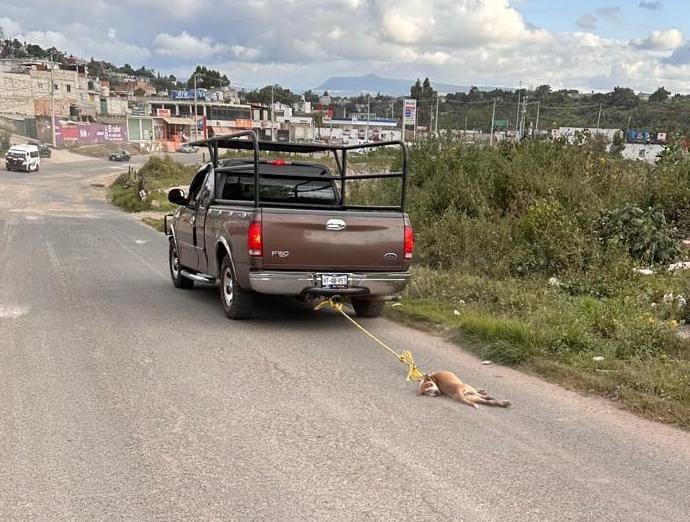 Imagen: Conductor es detenido tras viralizarse por arrastrar a un perrito en Tulancingo