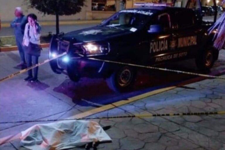 Imagen: ¿Cuántas carpetas de investigación por maltrato animal se han judicializado en Hidalgo?