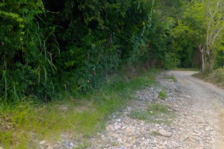 Imagen: Piden vecinos la rehabilitación de la carretera Atlapexco-Pahactla