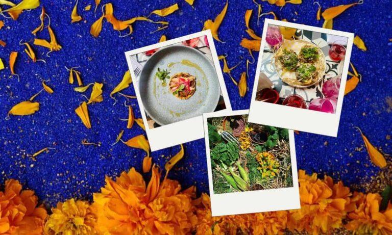 Imagen: Este Día de Muertos ve a Hñahñu Cocina Otomí de Raíz y checa su menú especial