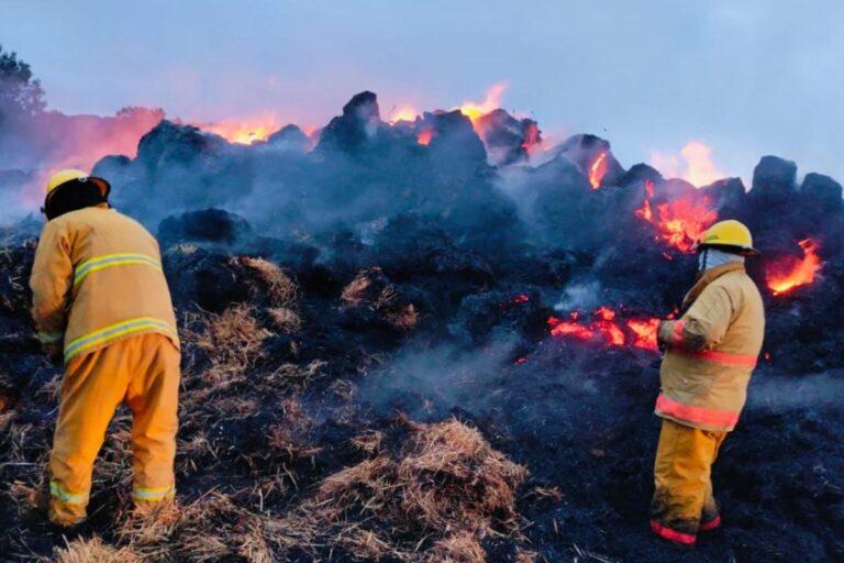 Imagen: Protección Civil de Tepeapulco controla incendio en Tultengo