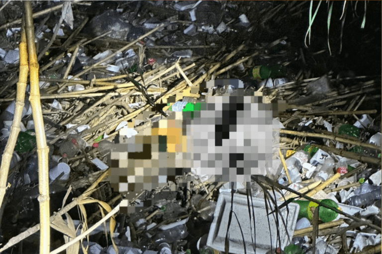Imagen: Tlahuelilpan: Hallan cuerpo en canal de aguas negras. Hay operativo en el lugar