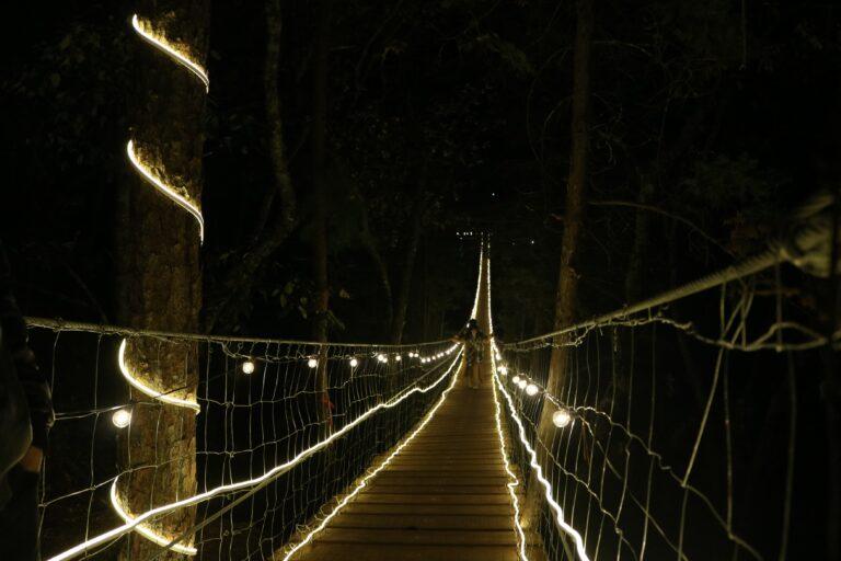 Imagen: El puente colgante iluminado de 130 metros que debes conocer y está en Mineral del Chico