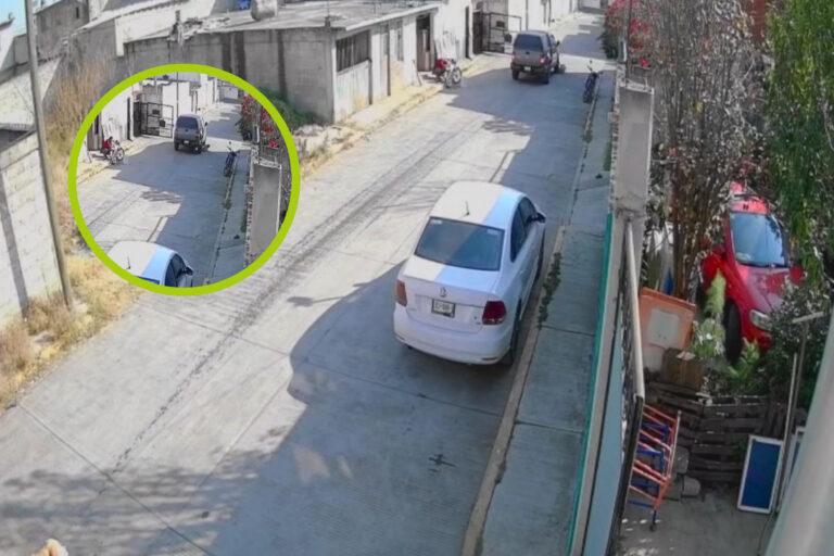 Imagen: Indignación por atropellamiento de perrita embarazada en Santiago Tulantepec: vecinos exigen justicia