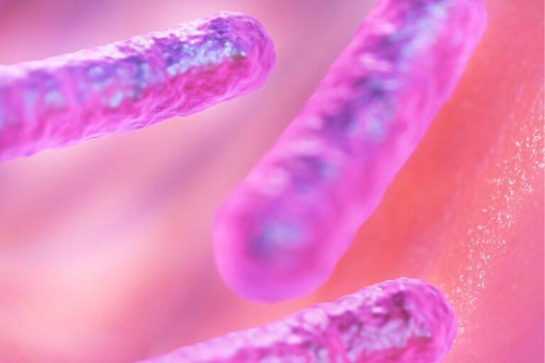 Imagen: Suman 17 muertes por bacteria Klebsiella oxytoca; casos se presentaron en Edomex, Michoacán y Guanajuato