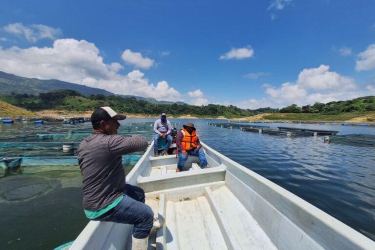 Imagen: Buscan certificar en sanidad al 50% de productores acuícolas de Hidalgo