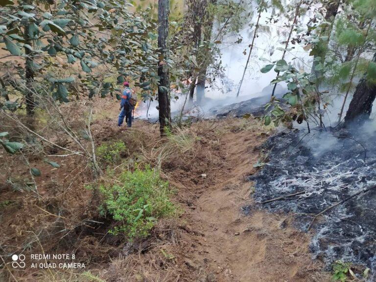 Imagen: Combatieron 17 incendios en Tulancingo durante 2024