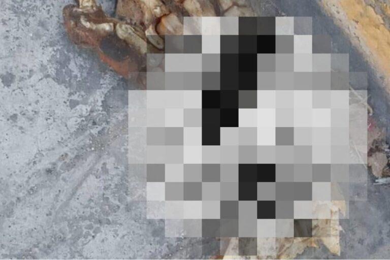 Imagen: Presuntos restos humanos encontrados en Ixmiquilpan movilizan a las autoridades