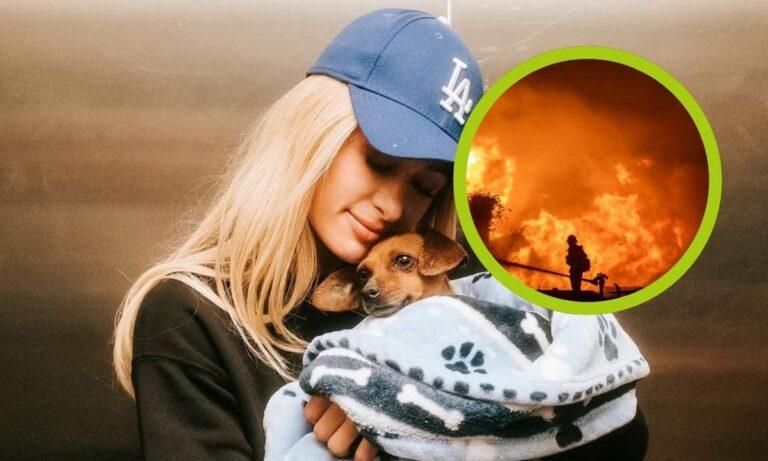 Imagen: Paris Hilton da vuelta a la página y se dedica a rescatar perritos de los incendios de Los Angeles