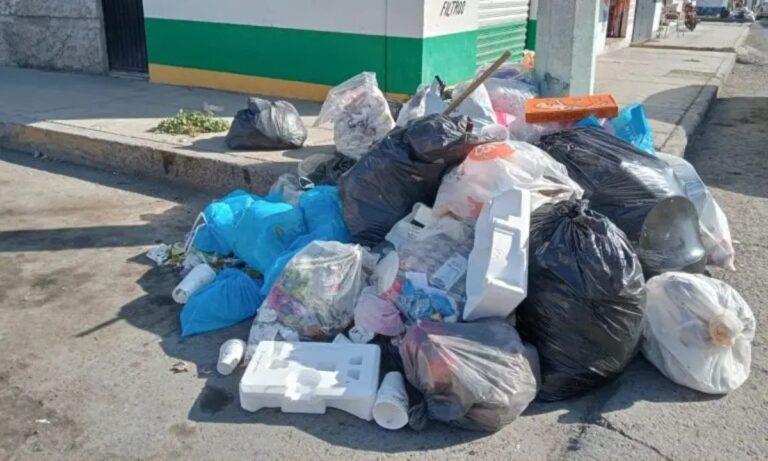 Imagen: Pese a nuevo contrato de recolección, hay basura en las calles de Pachuca