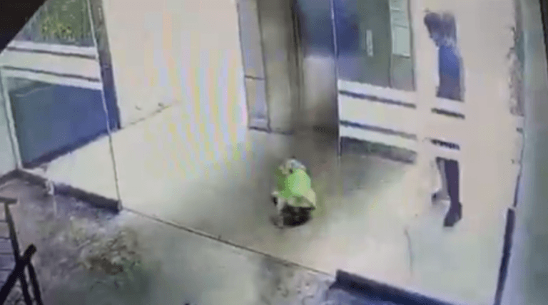 Imagen: Maltrato animal: médico es captado golpeando a un perro en Edomex