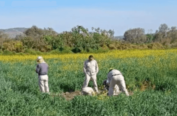 Imagen: Tlaxcoapan: Detectan fuga de hidrocarburo por toma clandestina