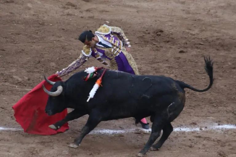 Imagen: Corridas de toros, debate que divide al Congreso Local