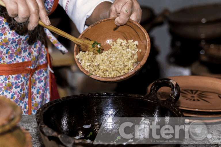 Imagen: Santiago de Anaya celebra el 4º Festival del Escamol y la cocina Hñähñu