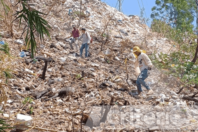 Imagen: Buscadora agredida en Jalisco: Teresa González Murillo herida en intento de secuestro