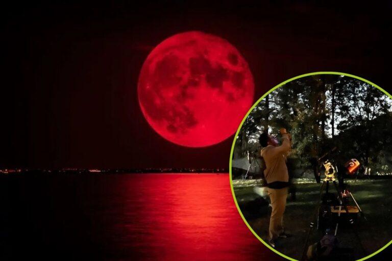 Imagen: Talleres y telescopios: así se vivió el eclipse lunar en Mineral del Chico