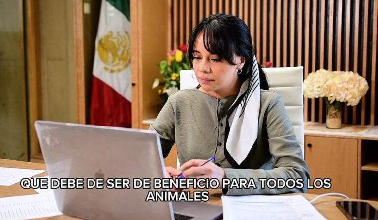 Imagen: Crean área de bienestar animal en Tizayuca