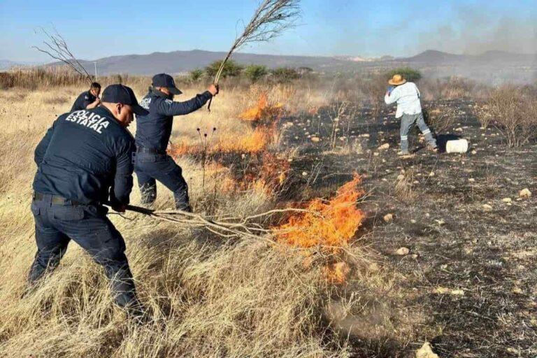 Imagen: ¿Cuántos incendios forestales se han atendido en Hidalgo en lo que va de marzo?