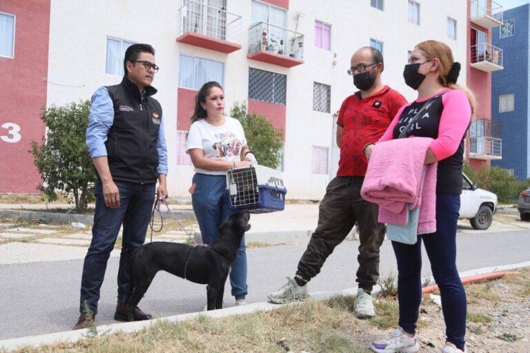 Imagen: Mineral de la Reforma: rescatan a animalitos víctimas de maltrato en Chavarría