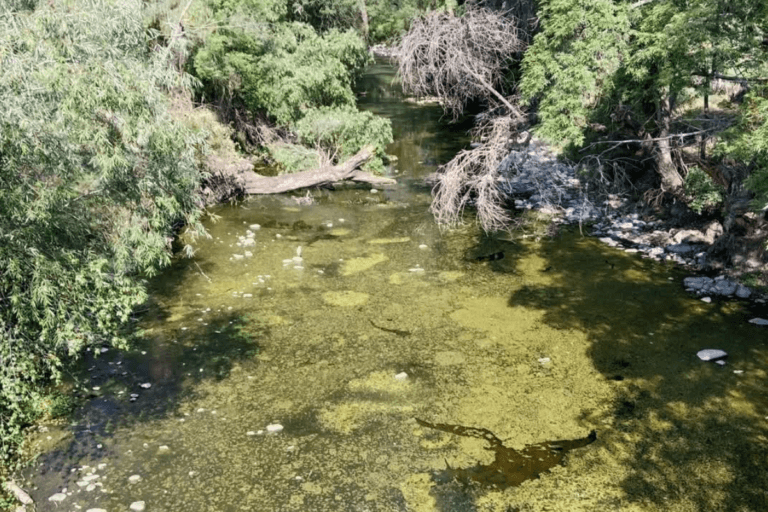 Imagen: Pobladores de Tula piden sanear río Rosas por malos olores