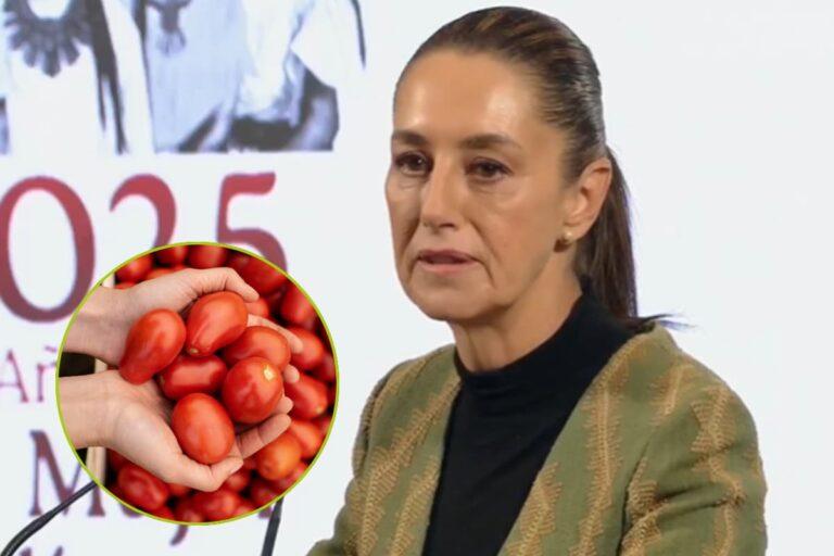 Imagen: Tomate mexicano enfrenta arancel del 21% en EE.UU.: ¿Qué respondió el gobierno federal?