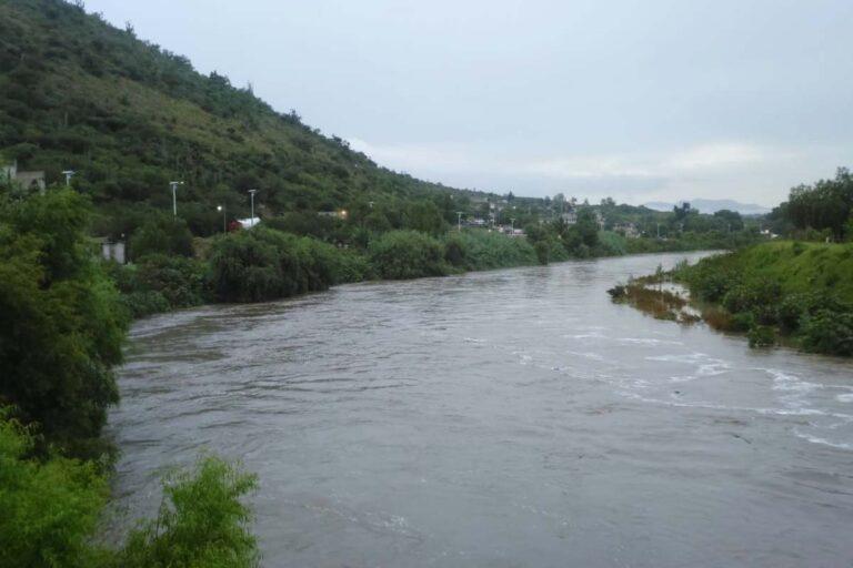Imagen: ¿Por qué diseminará Semarnath semillas de árboles en las orillas del río Tula?