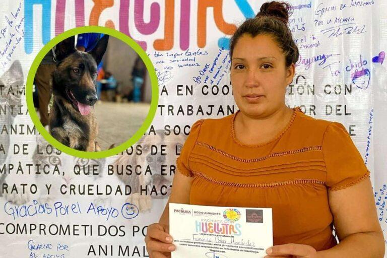 Imagen: Pachuca vacuna y esteriliza mascotas sin costo en varias colonias de la ciudad
