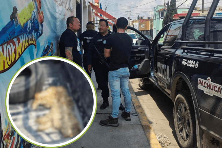 Imagen: Patrulla de Pachuca atropella a perrito en San Cayetano