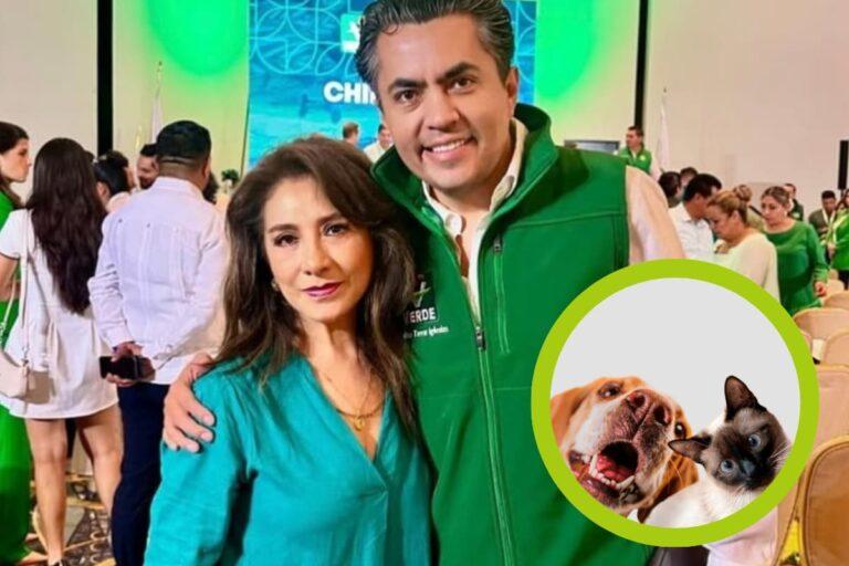 Imagen: Apan: regidora del PVEM niega derechos a los animales y desata críticas en redes sociales