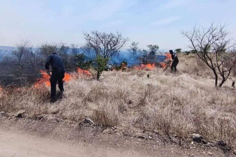 Imagen: Incendios en Tepeji del Río rebasa límites territoriales del municipio, afirman