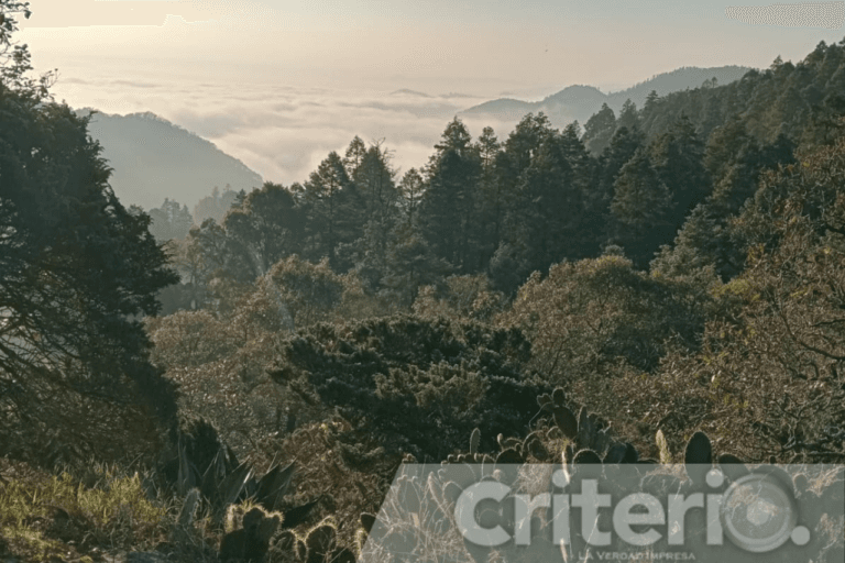 Imagen: Amanecer entre las nubes: descubre Cueva Blanca en Mineral del Chico