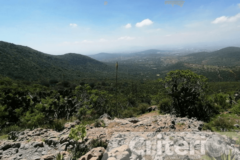 Imagen: Caminando Hidalgo llega a Tolcayuca con leyendas, historia y senderismo