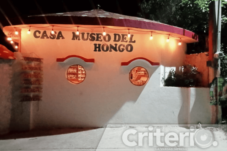 Imagen: Hongos comestibles y caminatas guiadas: una experiencia única en Omitlán
